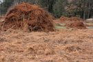 Überreste nach der Entrindung; sie dienen dazu, im Ofen zu heizen, im Moment des Kochens der Weide