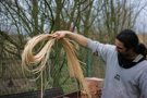 Quellen der Korbbänder (das vergrößert ihre Elastizität und vereinfacht das Flechten)