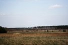 Landschaft des polnischen Weidenreviers um Rudnik, Ortschaft Kopki